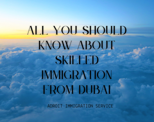 All You Should Know About Skilled Immigration from Dubai