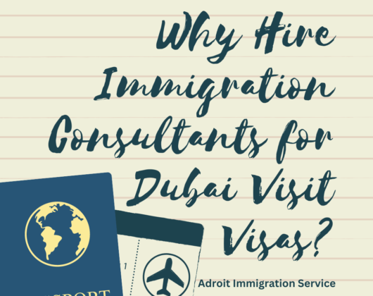 Why Hire Immigration Consultants for Dubai Visit Visas