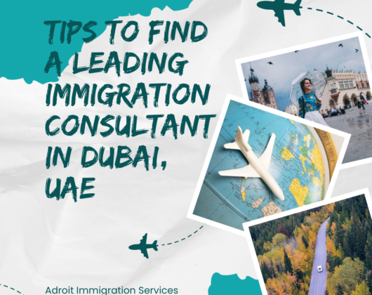Tips To Find A Leading Immigration Consultant In Dubai, UAE