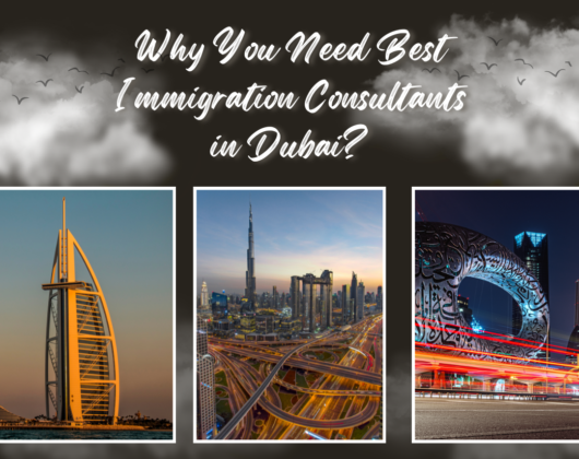 Why You Need Best Immigration Consultants in Dubai